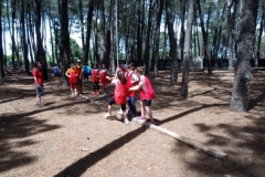 13417669_1733623716908915_4133919371200387920_n