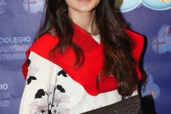 DSC03520