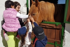 20190514_104313