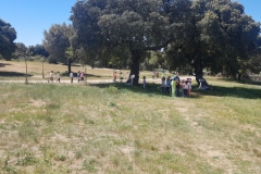 20190514_131242