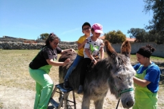IMG-20190514-WA0029