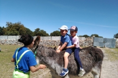 IMG-20190514-WA0032