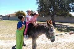 IMG-20190514-WA0037