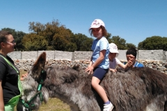 IMG-20190514-WA0045