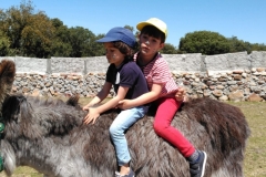 IMG-20190514-WA0046