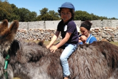 IMG-20190514-WA0047
