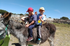 IMG-20190514-WA0048