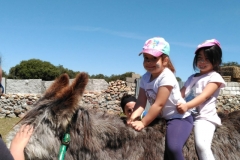 IMG-20190514-WA0049