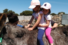IMG-20190514-WA0050