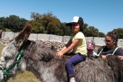 IMG-20190514-WA0052