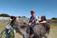 IMG-20190514-WA0053