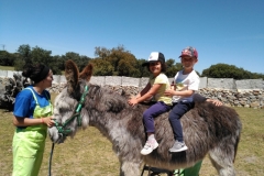 IMG-20190514-WA0054