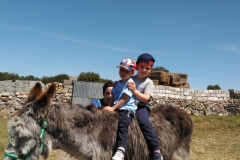 IMG-20190514-WA0055
