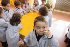 Haciendo pan (27)