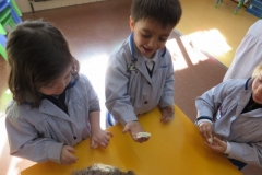 Haciendo pan (29)
