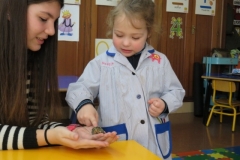 Mascota aula (40)