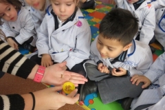 Mascota aula (48)
