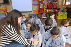 Mascota aula (49)