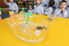 Mascota aula (50)