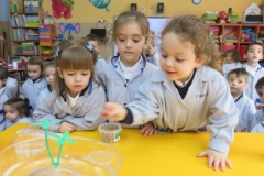 Mascota aula (51)