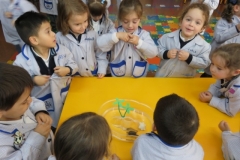 Mascota aula (52)