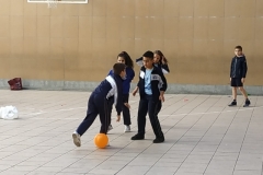 785e84d5-e352-4eb2-8f57-f4c8d444dd9b