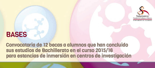 12 becas para alumnos que han finalizado Bachillerato