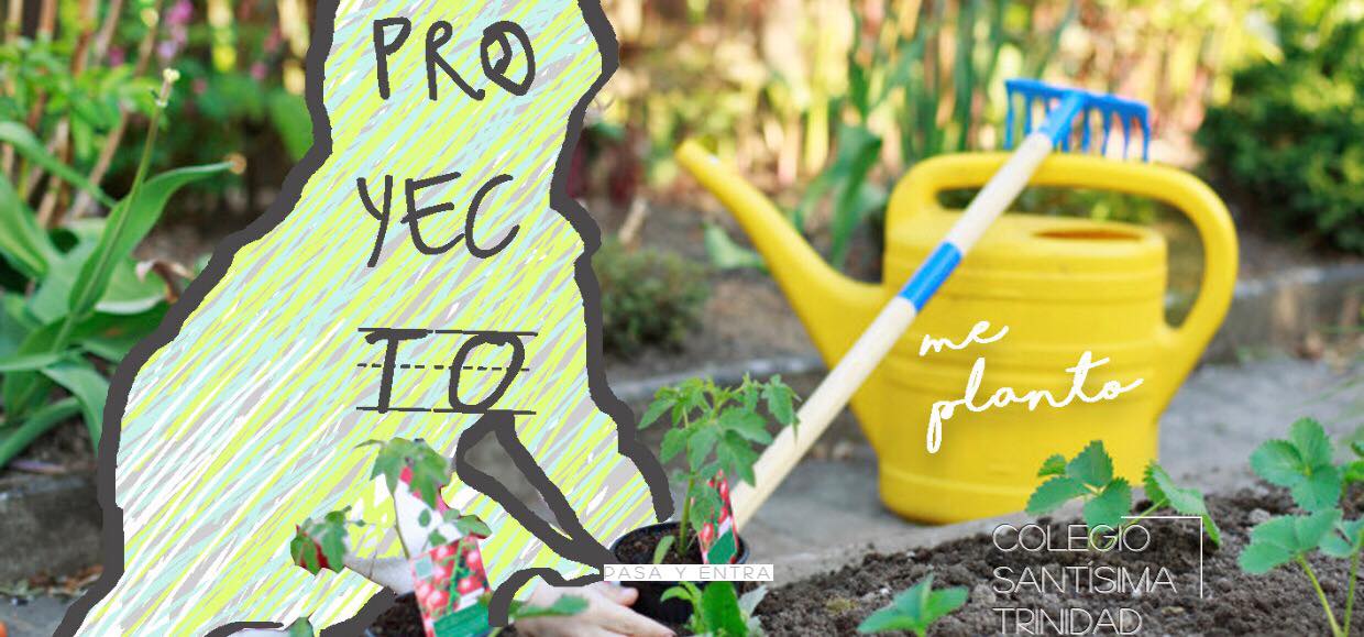 Un proyecto que promete. Me planto