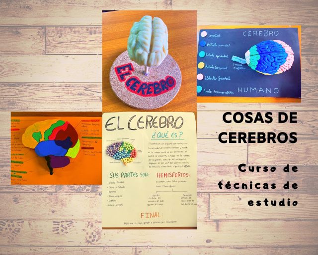 Conoce tu cerebro: técnicas de estudio