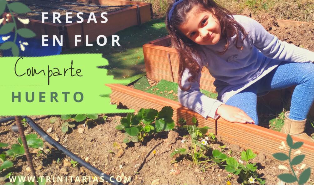 #COMPARTEhuerto La naturaleza es un regalo.