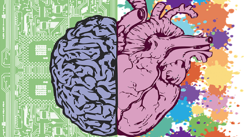 Cerebro